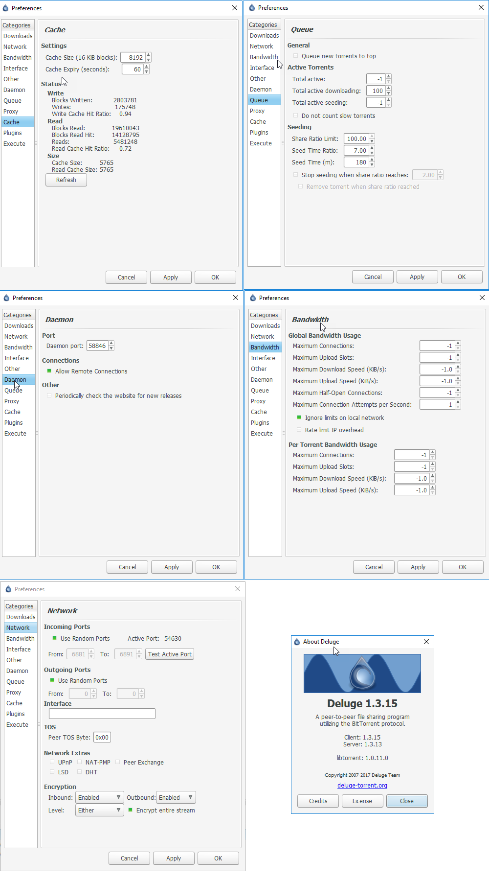 Deluge-Settings-Full.png