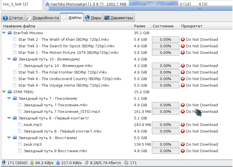 Directory structure in added torrent